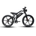 URBN-X E-Bike XT600 Racer Black